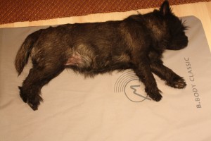 Bemerhoito on hyvin helppoa. Pepsi näyttää, että asento on vapaa ja hoitovaikutukset saavutetaan helposti.