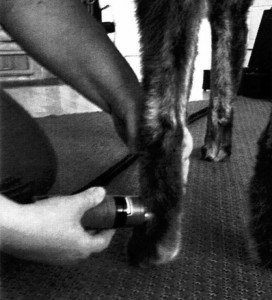 Hoku laserhoidossa 1