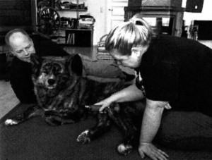 Hoku-akita, omistajansa Markus Niemi ja hoitaja Päivi Väkeväinen